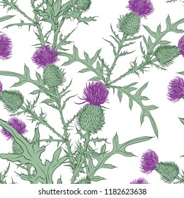 
Thistle. Vector seamless  pattern. Hand drawn  illustration on a white background. Sketch style.
