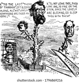 Thomas Nast titled this cartoon as The Last Thorn of Summer, showing defeating of Tammany, all of his companion are faded and gone and left Mayor Oakey Hall alone., vintage line drawing or engraving