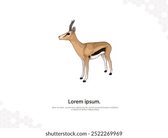 Thompson Gazelle arte vetorial para decoração de parede. imagens animais realistas. Animais selvagens desenhados à mão isolados. para decoração de quarto, eventos, etc