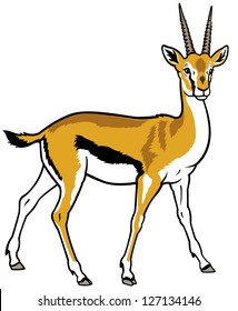 thomson gazelle,africa animal,side view picture isolated on white background,vector illustration