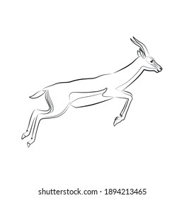 Thomson's gazelle. Outlined silhouette illustration of a jumping Thomson's gazelle isolated on a white background. Vector 10 EPS.