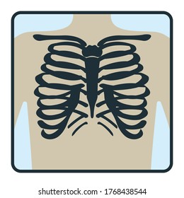 Thoracic Cage Bone, Chest Xray Concept Icon, Roentgen Human Body Image Isolated On White, Flat Vector Illustration. Skeleton Part Of Man Organism, Silhouette Black Biological Science.