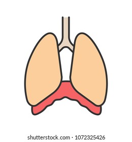 Thoracic Cavity Color Icon. Diaphragm. Human Lungs. Isolated Vector Illustration