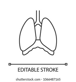 Thoracic cavity linear icon. Diaphragm. Thin line illustration. Human lungs. Contour symbol. Vector isolated outline drawing. Editable stroke