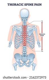 Thoracic Spine Pain As Soft Tissue Muscle Inflammation Outline Diagram. Labeled Educational Medical Backbone Skeletal Trauma As Painful Problem Vector Illustration. Chronic Vertebrae Posture Condition