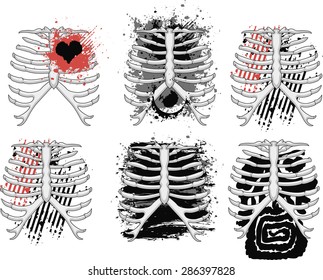thorax 