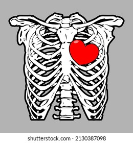 Thorax ribs, sternum, clavicle, scapula, vertebral column with love. Detailed medical illustration. Isolated on a silver background.