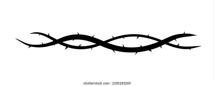 Thorn branch or vine. Natural intertwined pattern. Element of tattoo with spike.