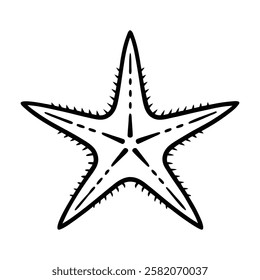 thorns-starfish of a line art vector