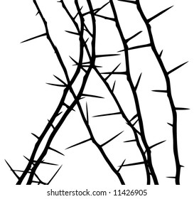 thorny
