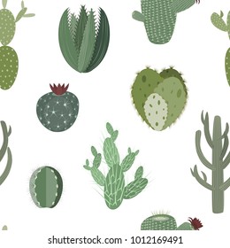 Cactus Collections Set Stock Vector (Royalty Free) 795048172