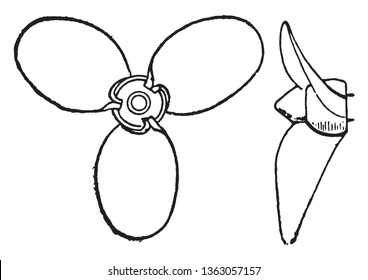 Thornycroft propeller is a common form of screw propeller, vintage line drawing or engraving illustration.
