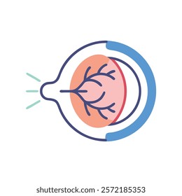 Thorough Retina Anatomy Detailed Vector Design