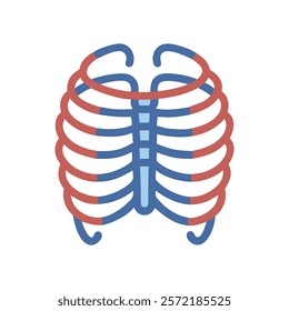 Thorough Rib Cage Anatomy Vector Icon Design