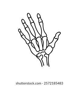 Thorough Scaphoid Bone Anatomy Icon Design