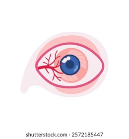 Thorough Sclera Anatomy Vector Design