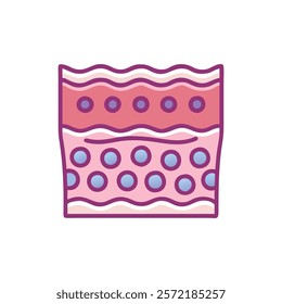 Thorough Stratified Epithelial Tissue Anatomy Vector Design