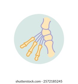 Thorough Styloid Process Radius Anatomy Vector Design