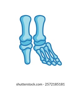 Thorough Tarsals Anatomy Vector Design