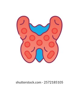 Thorough Thyroid Anatomy Vector Illustration