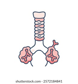 Thorough Trachea Anatomy Vector Illustration