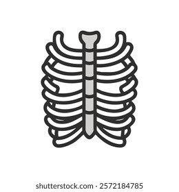 Thorough True Ribs Anatomy Vector Illustration