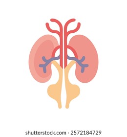 Thorough Ventricles Anatomy Vector Design