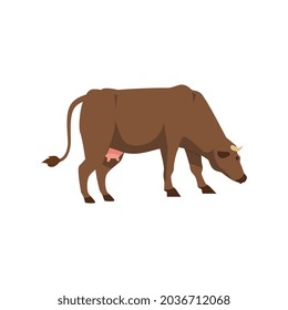 Thoroughbred brown cow character stands sideways, flat vector illustration isolated on white background. Cattle breeding industry and farm animal image.