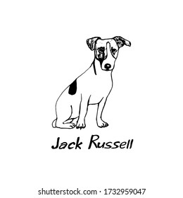 
Thoroughbred dog Jack Russell. The dog is a friend of man. Vector illustration in doodle style. Hand drawing. Isolate on a white background.