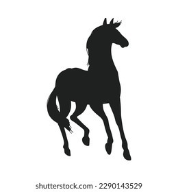 Thoroughbred horse frisky in running black silhouette for logo and emblems, vector illustration isolated on white background. Frisky racehorse or equine shape.