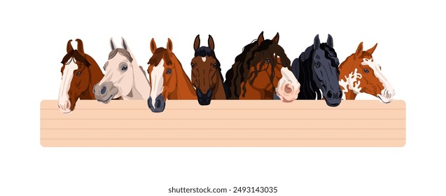 Grupo de caballos pura sangre. Cabezas de semental de granja asomándose por detrás de la valla. Equinos, diferentes razas, Appaloosa, Trakehner espiando. Ilustración vectorial gráfica plana aislada sobre fondo blanco