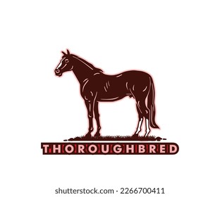 THOROUGHTREDS HORSE BREEDS LOGOM silhouette of great strong elegant horse standing vector illustrations