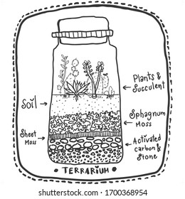 for those who like the tree in jars, as we call "terrarium". let's draw the tree that we used to put in a bottle