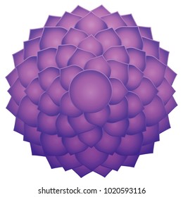 Thousand petaled lotus or purple Sahasraha crown chakra. Spiritual healing symbol. Isolated vector illustration on white background.