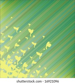 Thousands of hummingbirds.