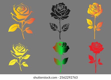 Thr flower of rose plants