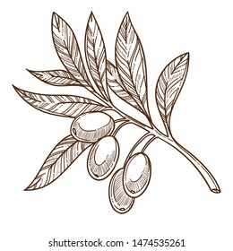 Thread coil and needle isolated sketch vector tailor sewing tools and clothes design seamstress or dressmaker service garments, and clothing production and repairment cotton needlework or needlecraft