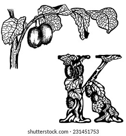 Thread kiwi, berries and leaves. Letter K.
