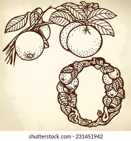 Thread orange, flowers, fruit and leaves. Litera O.