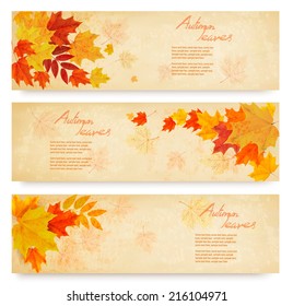 Three abstract autumn banners with color leaves. Vector 