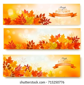 Three abstract autumn banners with colorful leaves Vector