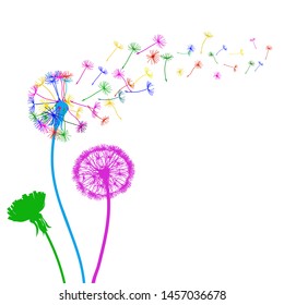 Three abstract colorful dandelion, flying seeds of dandelion - stock vector