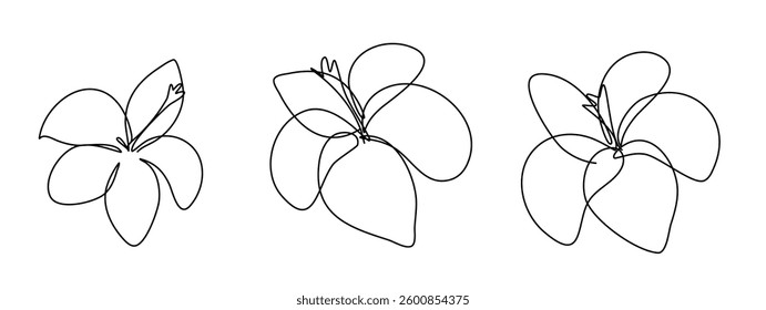 Three abstract floral drawings in minimalist continuous line style. Each flower has unique petal arrangements, creating an elegant and modern look. Ideal for decor.