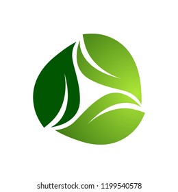Three abstract green light dark leaf logo template
