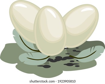 Three abstract white bird eggs in nest of feathers isolated on white background
