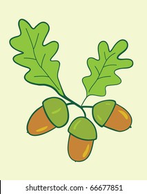three acorns with leaves - vector illustration