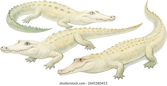 Three adorable baby alligators in watercolor style,  perfect for children's books or prints.