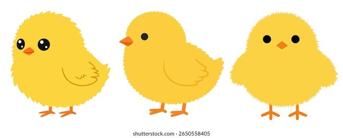 Three adorable, fluffy yellow chicks are depicted in a charming illustration. Each chick has a unique pose, showcasing their cute beaks and big, expressive eyes against a clean white background.