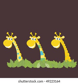 Three african safari giraffes. Yellow safari giraffes behind jungle leafs. Vector cartoon illustration of funny animals in retro style.