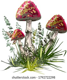 Three amanita in green grass, futurism, abstraction, isolated vector illustration